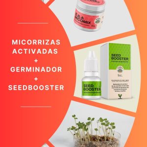 micorrizas, acelerador de germinación, placa germinadora